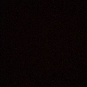 Meet your Posher, Albert